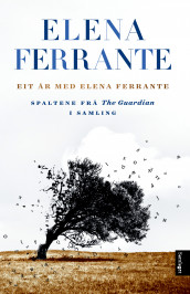 Eit år med Elena Ferrante av Elena Ferrante (Innbundet)