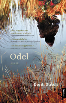 Odel av Dordi Strøm (Innbundet)