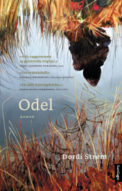 Odel av Dordi Strøm (Ebok)