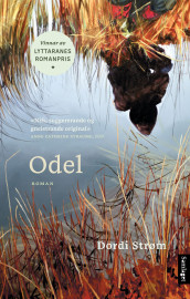 Odel av Dordi Strøm (Heftet)