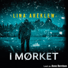 I mørket av Lina Areklew (Nedlastbar lydbok)
