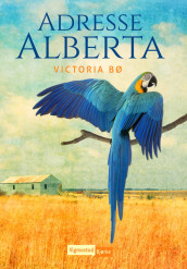 Adresse Alberta av Victoria Bø (Heftet)