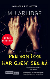 Den som ikke har gjemt seg nå av M.J. Arlidge (Ebok)