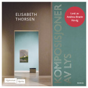 Komposisjoner av lys av Elisabeth Thorsen (Nedlastbar lydbok)