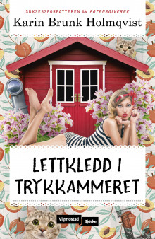 Lettkledd i Trykkammeret av Karin Brunk Holmqvist (Heftet)