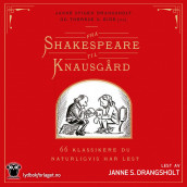 Fra Shakespeare til Knausgård av Janne Stigen Drangsholt (Nedlastbar lydbok)