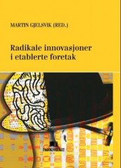 Radikale innovasjoner i etablerte foretak av Ole Andreas Engen, Martin Gjelsvik, Øystein Hatteland, Geir Nybø og Ragnar Tveterås (Innbundet)