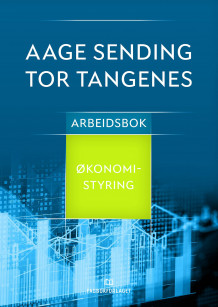 Økonomistyring av Aage Sending (Heftet)