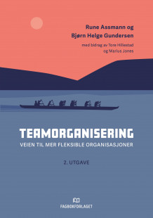 Teamorganisering av Rune Assmann, Rune Assmann, Bjørn Helge Gundersen og Tore Hillestad (Heftet)