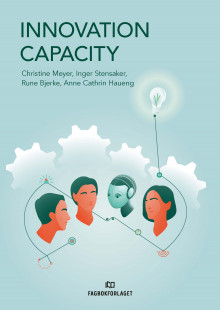 Innovation capacity av Christine B. Meyer, Inger G. Stensaker, Rune Bjerke og Anne Cathrin Haueng (Heftet)