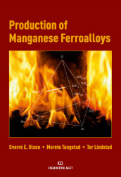 Production of Manganese Ferroalloys av Tor Lindstad, Sverre E. Olsen og Merete Tangstad (Ebok)
