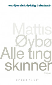Alle ting skinner av Mattis Øybø (Heftet)