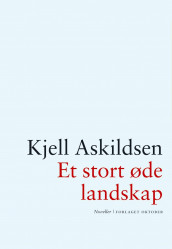 Et stort øde landskap av Kjell Askildsen (Innbundet)