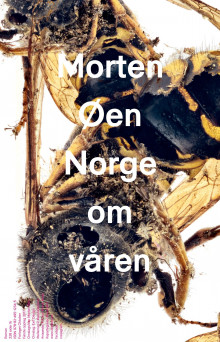 Norge om våren av Morten Øen (Innbundet)