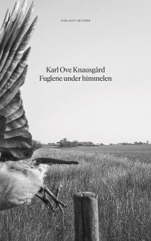 Fuglene under himmelen av Karl Ove Knausgård (Innbundet)