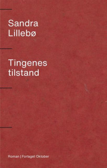 Tingenes tilstand av Sandra Lillebø (Ebok)