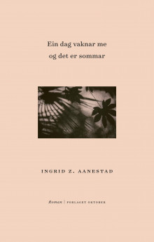 Ein dag vaknar me og det er sommar av Ingrid Z. Aanestad (Ebok)