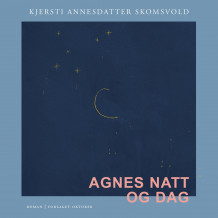 Agnes natt og dag av Kjersti Annesdatter Skomsvold (Nedlastbar lydbok)
