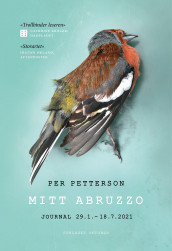Mitt Abruzzo av Per Petterson (Heftet)