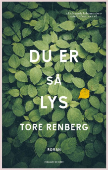 Du er så lys av Tore Renberg (Heftet)