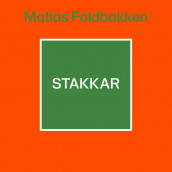 Stakkar av Matias Faldbakken (Nedlastbar lydbok)