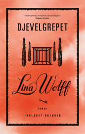 Djevelgrepet av Lina Wolff (Innbundet)