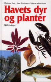 Havets dyr og planter av Aase Kristiansen og Marianne Køie (Innbundet)