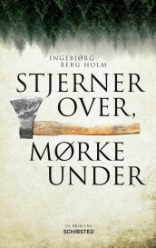 Stjerner over, mørke under av Ingebjørg Berg Holm (Ebok)