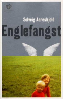 Englefangst av Solveig Aareskjold (Innbundet)