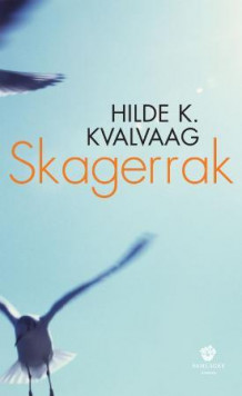 Skagerrak av Hilde K. Kvalvaag (Innbundet)
