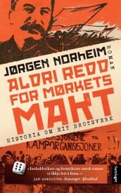 Aldri redd for mørkets makt av Jørgen Norheim (Heftet)