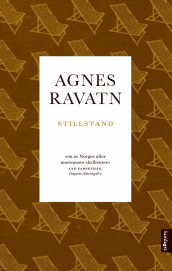 Stillstand av Agnes Ravatn (Heftet)