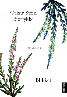 Blikket av Oskar Stein Bjørlykke (Innbundet)