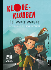 Dei svarte svanene av Ruth Lillegraven (Ebok)