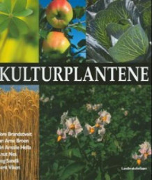 Kulturplantene av Tore Brandstveit, Jan Arne Broen, Siri Amalie Hella, Knut Nes, Dag Sandli og Berit Viken (Innbundet)