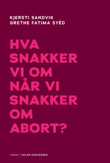 Hva snakker vi om når vi snakker om abort? av Kjersti Sandvik og Grethe Fatima Syéd (Ebok)