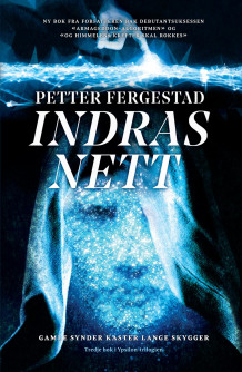 Indras nett av Petter Fergestad (Ebok)