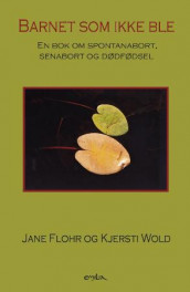 Barnet som ikke ble av Jane Flohr og Kjersti Wold (Heftet)