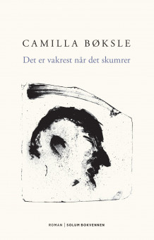 Det er vakrest når det skumrer av Camilla Bøksle (Ebok)