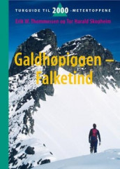 Galdhøpiggen - Falketind av Tor Harald Skogheim og Erik W. Thommessen (Innbundet)