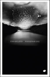 Posisjonar 2012 av Finn Øglænd (Ebok)