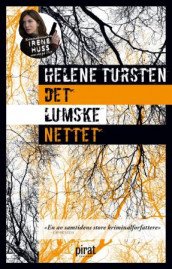 Det lumske nettet av Helene Tursten (Innbundet)