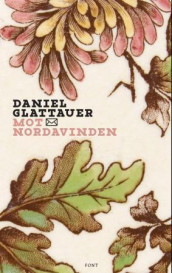 Mot nordavinden av Daniel Glattauer (Innbundet)