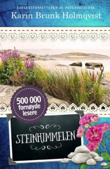 Steinhimmelen av Karin Brunk Holmqvist (Ebok)