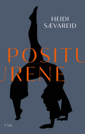 Positurene av Heidi Sævareid (Ebok)