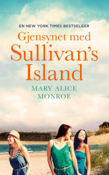 Gjensynet med Sullivan's Island av Mary Alice Monroe (Innbundet)