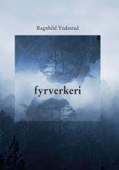 Fyrverkeri av Ragnhild Yndestad (Ebok)