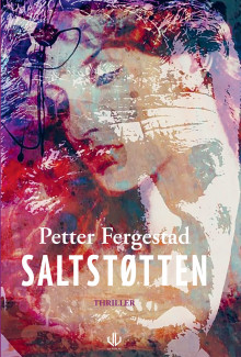 Saltstøtten av Petter Fergestad (Ebok)