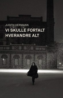 Vi skulle fortalt hverandre alt av Judith Hermann (Heftet)