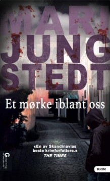 Et mørke iblant oss av Mari Jungstedt (Innbundet)